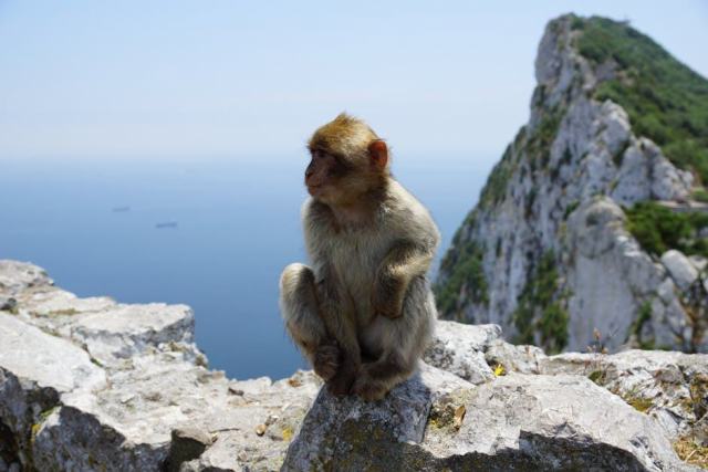 Girardin industriel : fonctionnement et risques d'un outil de défiscalisation one-shot